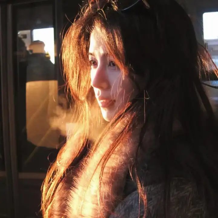 龟女士的奥德赛